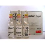Metenolone Enanthate 100mg